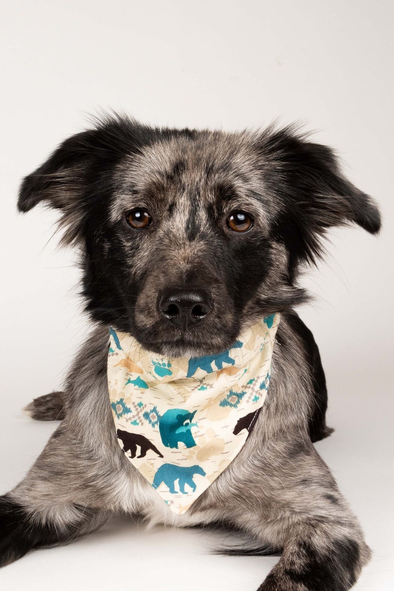 Bear Over The Collar Bandana Winter Dog Bandana Bear Forest Animal Print Dog Bandana Beer Print Bandana Animal Print Cat Bear Bandana