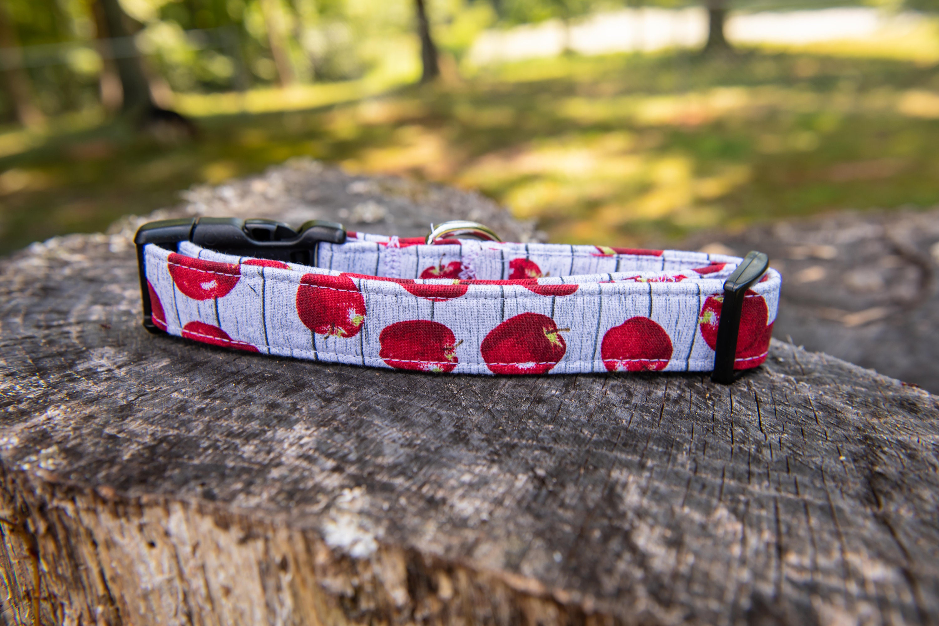 Red Apple Dog Collar Apple Autumn Collar Autumn Apple Etsy