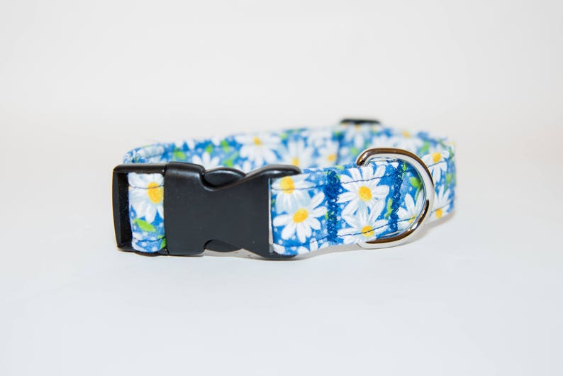 Blue Daisy Flower Dog Collar Daisy Dog Collar Daisy Pattern Etsy
