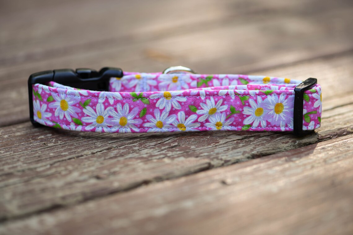 Pink Daisy Flower Dog Collar Daisy Dog Collar Daisy Pattern Etsy
