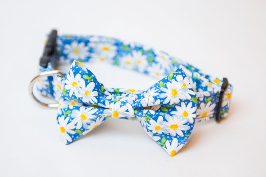 Blue Daisy Flower Dog Collar Daisy Dog Collar Daisy Pattern Etsy
