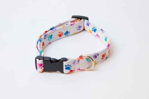 Rainbow Paw Print Dog Collar Rainbow Paw Print Dog Collar