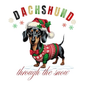 Puede incluir: Un dachshund negro y marrón con un suéter navideño rojo y verde y un gorro de Papá Noel con acebo. El perro está de pie en la nieve con el texto "Dachshund through the snow" debajo.