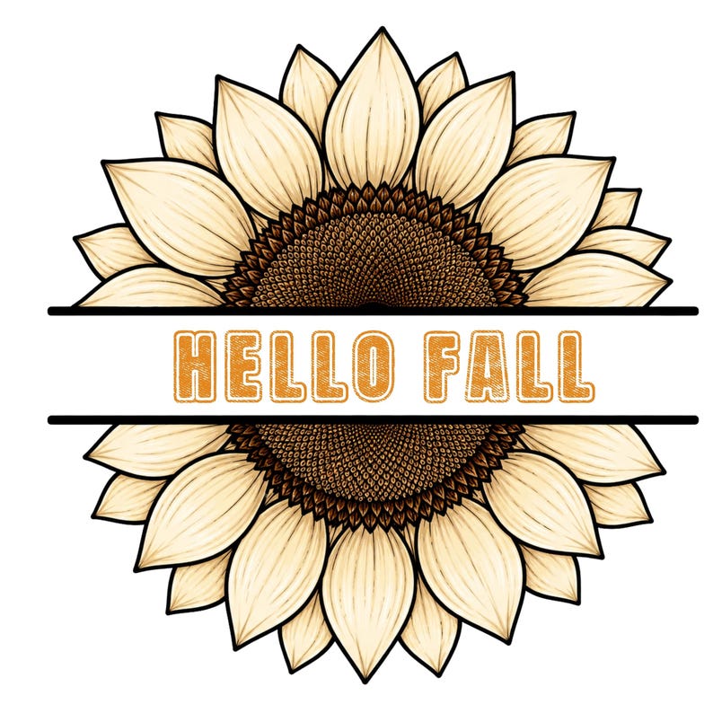 Op de afbeelding: Een grafische illustratie van een zonnebloem die horizontaal is gespleten door een witte rechthoekige banner met de oranje tekst HELLO FALL. De zonnebloem heeft cr&egrave;mekleurige bloemblaadjes en een donkerbruin textuurrijk hart met zwarte lijnen.