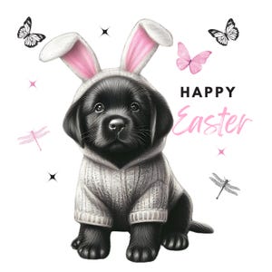 May include: A black Labrador puppy wearing a grey sweater with pink bunny ears. The puppy is sitting and looking at the camera. The text "Happy Easter" is written in pink letters on a white background.