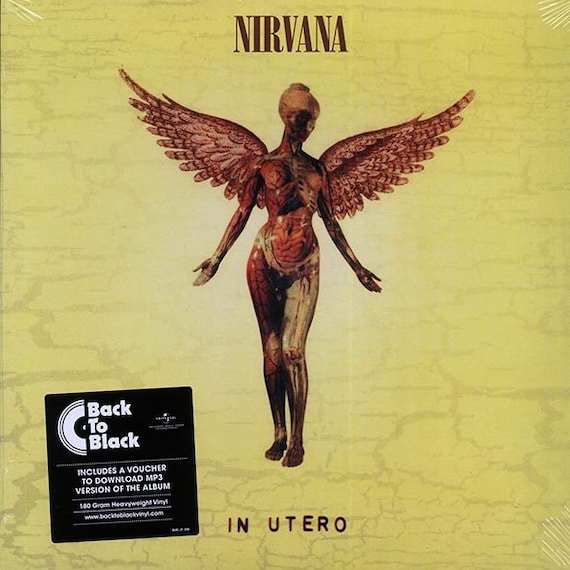 NIRVANA IN UTERO ピクチャー盤 LP メキシコ盤オリジナル Nirvana - In Utero