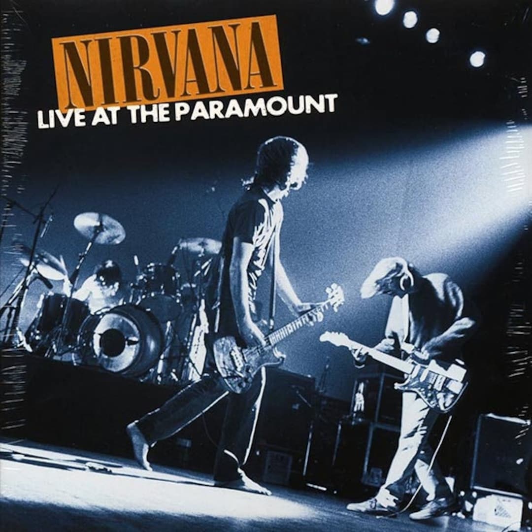 LPニルヴァーナ フロムザマディ 二枚組 ライブ限定レコード