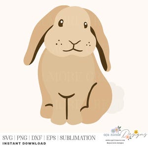 May include: A digital illustration of a brown bunny rabbit with floppy ears. The bunny is sitting with its front paws tucked under its body.