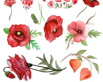 Watercolor Sticker Set Red Flowers/ Bullet Journal / Bujo / Filofax/ Sticker / Sticker Accessories / Red Flowers
