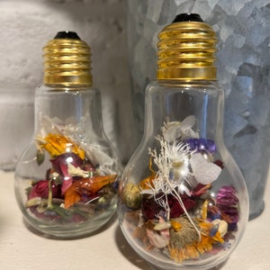 Dried Flower Light Bulbs