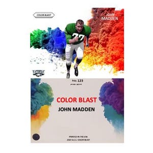 JOHN MADDEN Adler im COLORBLAST Stil individuelle Kunstkarte