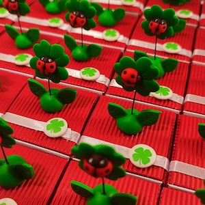 Boîtes à dragées trèfles et coccinelles thème printemps