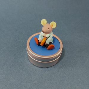 Baby tooth box mouse and its coin