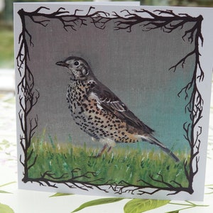 Cartão Mistle Thrush (cartão reciclado de alta qualidade)
