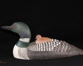 Common Loon with Chick