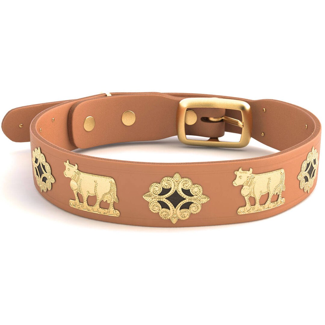 Wide Appenzell Dog Collar / Gold / 5 Colors Etsy