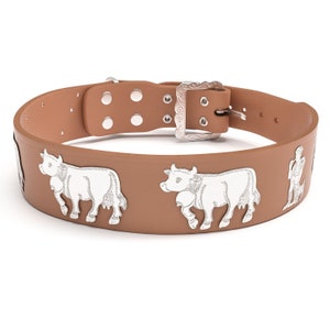 Appenzeller Dog Collar extra-wide / silver / wide / 5 colors