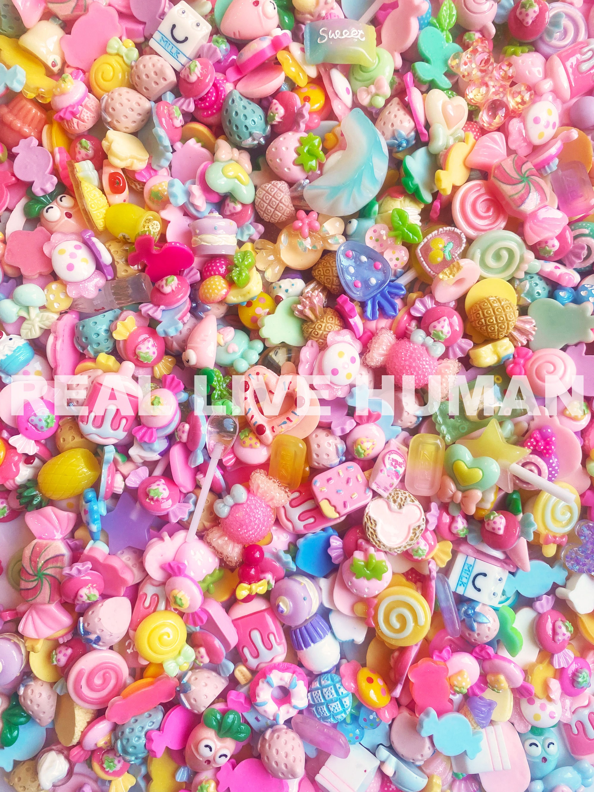 60pcs Slime Charms Kawaii Cute Set Tiny Resin Faux Shell Pearl Embellishment Decors with Box Hair Clips Supplies for Phone Case Ornament DIY Craft
