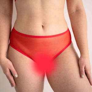 See through panties, sexy panties plus size, culotte transparente, sheer mesh panties, panties for woman