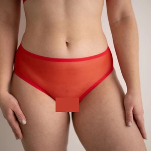 Sheer panties, woman&#39;s mesh lingerie, transparent top and panties, sexy lingerie, culotte lingerie