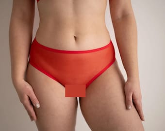 Schiere Höschen, Frau Netz Dessous, transparente Top und Höschen, sexy Dessous, Culotte Dessous
