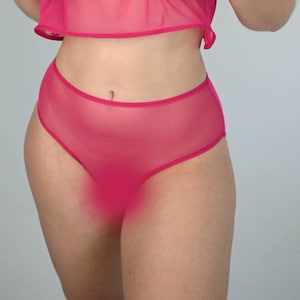 Sexy panties plus size, culotte transparente, sheer mesh panties, panties for woman