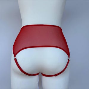 Sheer mesh panties with open access for women