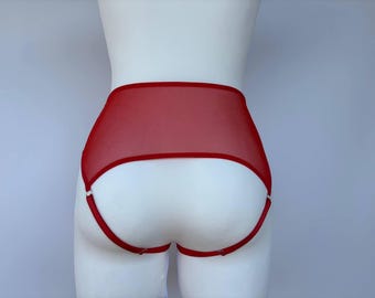 Sheer mesh panties with open access for women