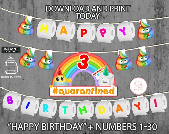 Toilet paper birthday banner girl printable, Stay home queen party supplies printable Download and print today AGE 1-30 Il_570xn