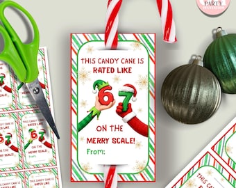 Può includere: Un bastoncino di zucchero con un'etichetta che recita "This Candy Cane is Rated Like 67 on the Merry Scale!". L'etichetta ha un bordo rosso e verde ed è decorata con fiocchi di neve. L'immagine include anche forbici verdi e decorazioni natalizie.