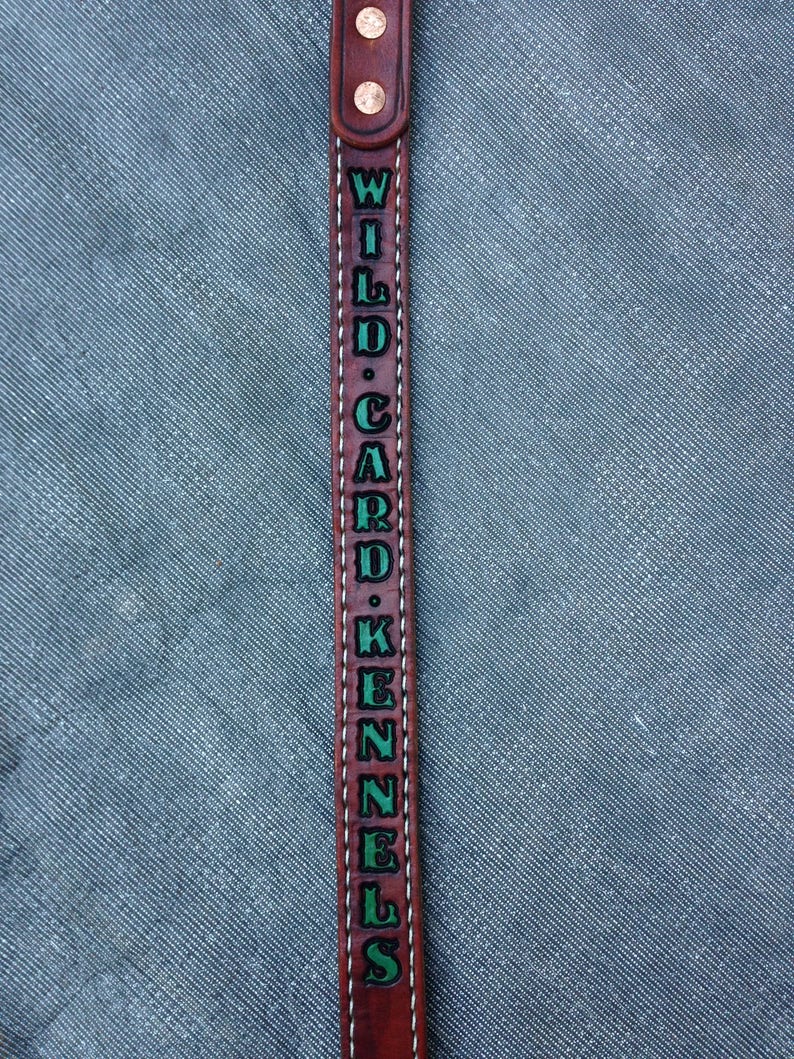 Custom Made Dog Leads Etsy