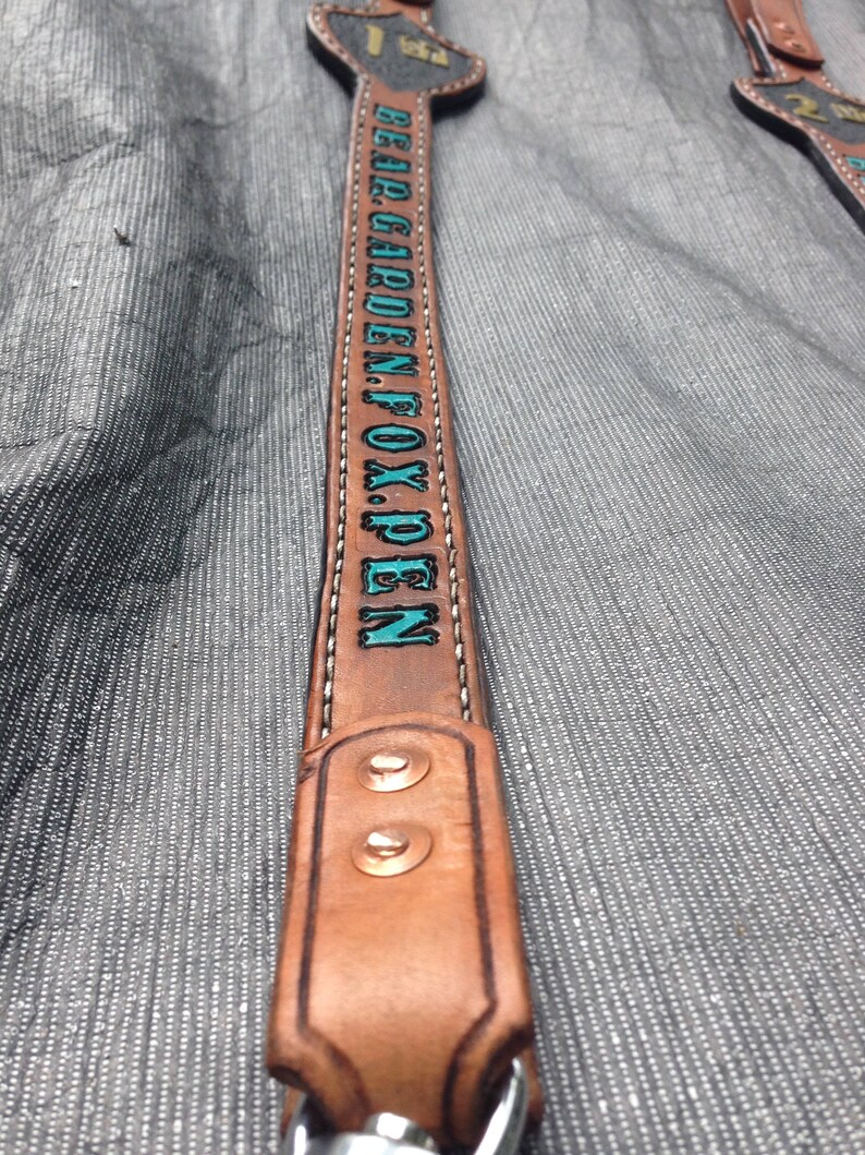 Custom Made Dog Leads Etsy