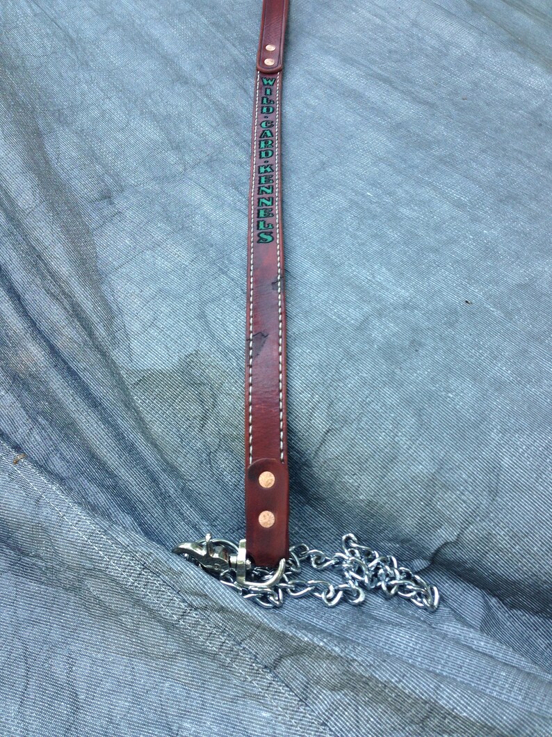 Custom Made Dog Leads Etsy