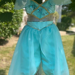 Costume Disney Aladdin Princesse Jasmine, femmes, robe bleue, tailles  variées