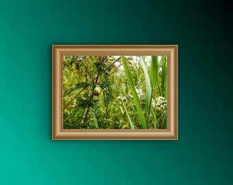 Snail Art Print, Decoración de oficina, Decoración del hogar, Regalo de bienvenida a la casa, Regalo de vacaciones, Regalo de jubilación, Arte de pared, Impresión cottagecore, Estética Mosscore