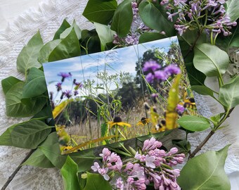 Photo Print, House Decor, Office Decor, Housewarming Gift, Still Life, Photography, Floral, Cottagecore, Bloomcore, Flowercore, Gardencore