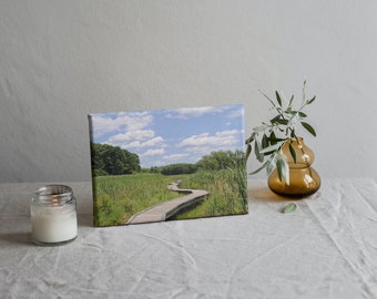 Photography Print, Home Decor, Office Decor, Housewarming Gift, Retirement Gift, Appalachian Trail, Stairway to Heaven, NJ Photography