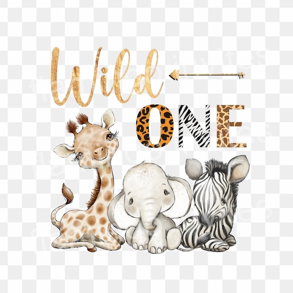 Wild One 1st Birthday PNG, Sublimation Safari Dschungel Tiere Design, transparenter Hintergrund, T-Shirt Transfer Design PNG, digitaler Download