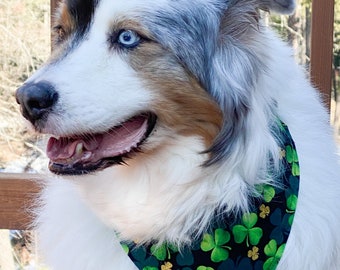 Lucky Shamrock Dog Bandana ~ Custom Sizes, St Patrick's Day Over The Collar Bandana for Dogs, Cats, etc.
