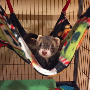 May include: A ferret rests in a colorful hammock inside a wire cage. The hammock is patterned with green, black, red, and white shapes. The ferret has brown fur with a white face and a pink nose. The cage has a green and blue mat at the bottom.