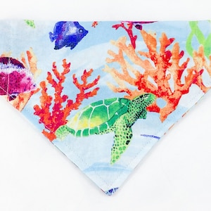 May include: A blue and white bandana with a sea turtle, coral, and fish design. The bandana is triangular in shape and has a white background with a blue border.