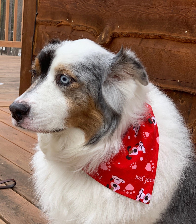 Peeps Easter Dog Bandana Custom Sizes Over the Collar | Etsy