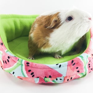 Watermelon Fleece Cuddle Cup with Removable Pad for Guinea Pigs, Hedgehogs, Ferrets, Teacup Dogs, Rats, Chinchillas, etc image 1