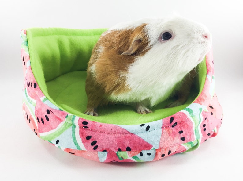 Watermelon Fleece Cuddle Cup with Removable Pad for Guinea Pigs, Hedgehogs, Ferrets, Teacup Dogs, Rats, Chinchillas, etc image 1