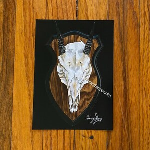 PRINT of &quot;Antelope Skull Mount&quot;