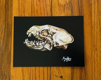 PRINT “Skunk Skull”