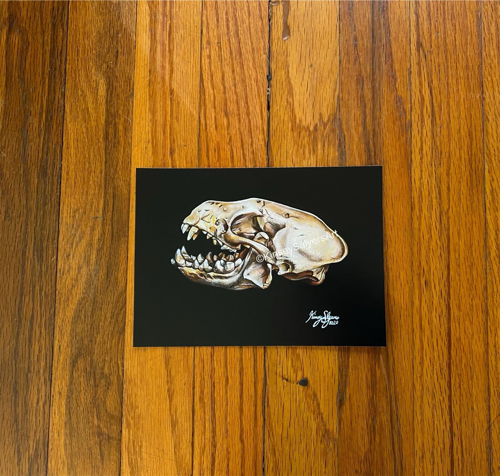 PRINT 5x7 skunk Skull Etsy