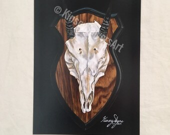 PRINT 9x12 of "Antelope Skull Mount"