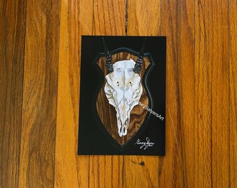 PRINT 5x7 of "Antelope Skull Mount"