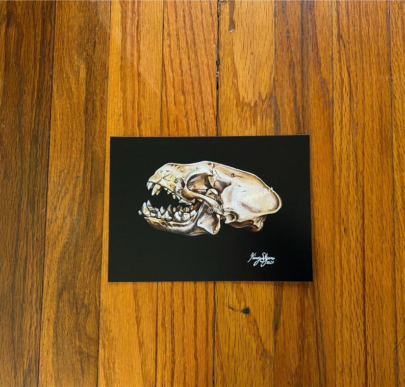 Print of original painting. Black background with a side profile of a skunk skull